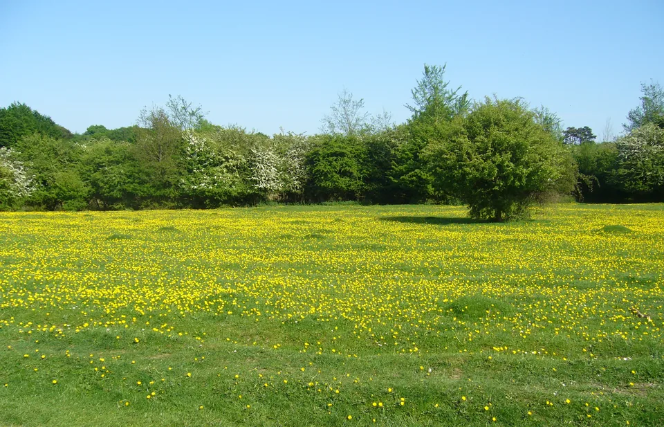 Hatfield Forest – destination from Stansted